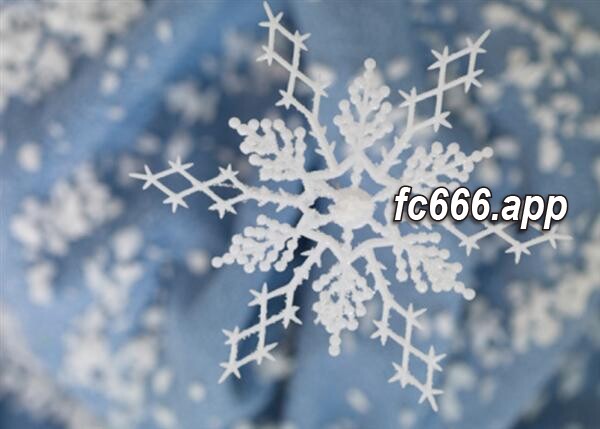 2023123111 冰城哈尔滨元旦假期游人如织，旅游热潮席卷冰雪天堂