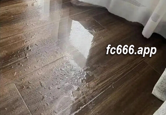 2024030811 蓝盈莹首遇回南天惊呼误以为家中漏雨