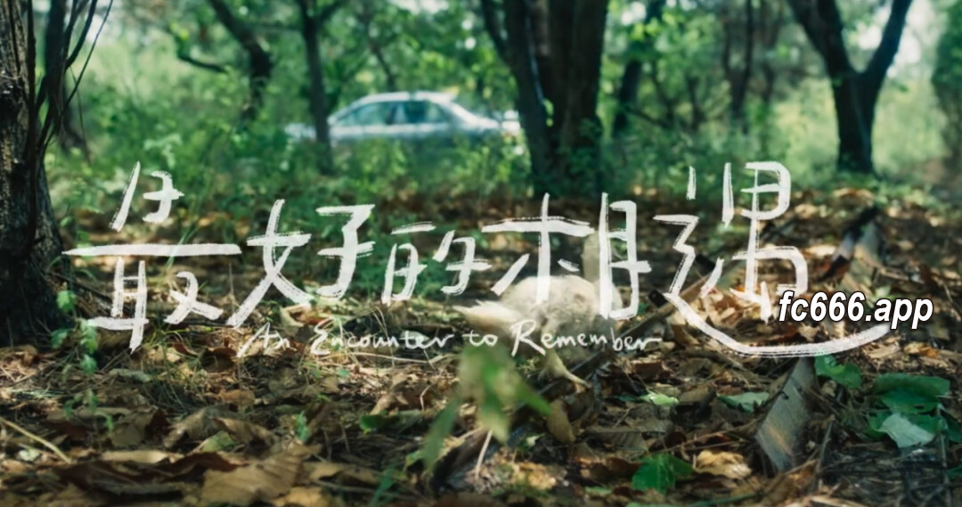2024031121 《宿命的抉择》影戏探讨挑战社会规范的勇气